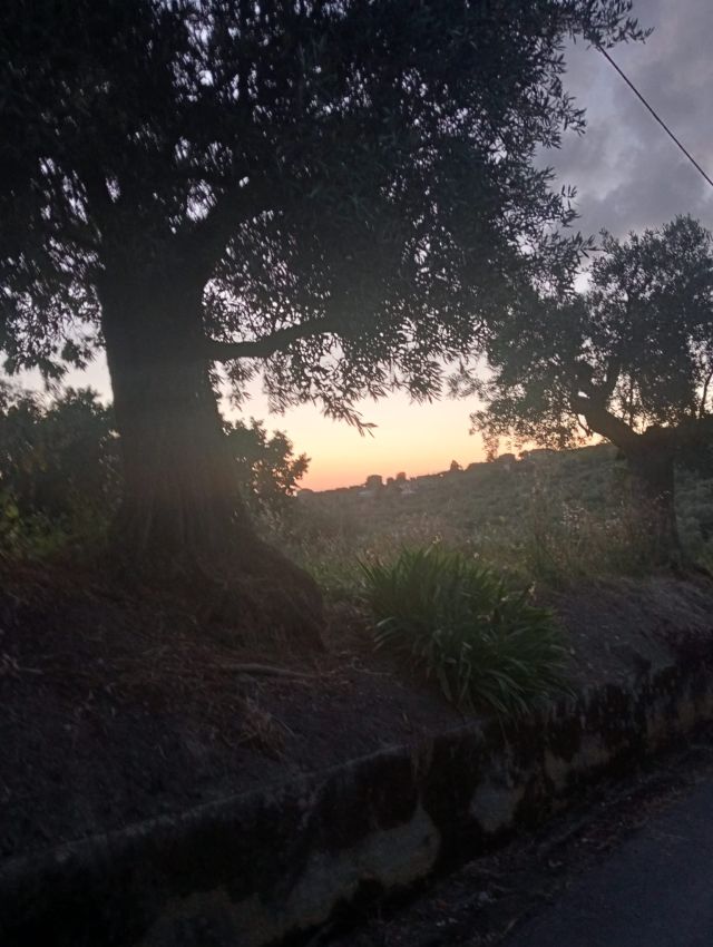 Contrada di Mirabella, un'isola di pace che resiste al tempo