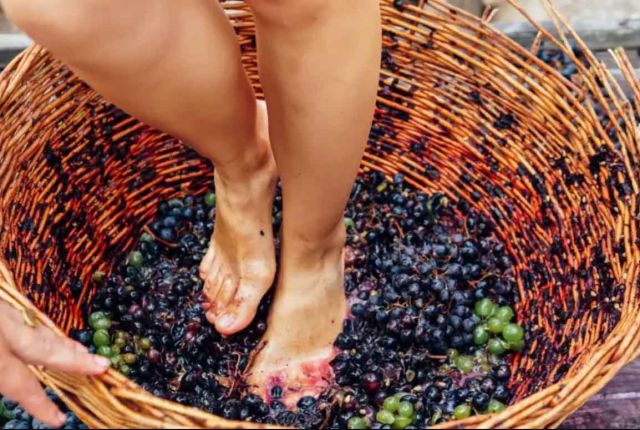 Le api e la danza del vino