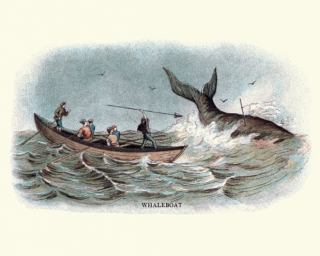 Balenieri del XIX secolo che arpionano una balena