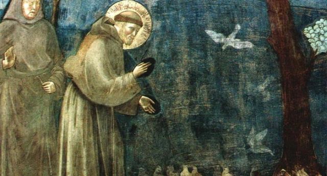 Giotto - Predica agli uccelli - Storie di San Francesco, particolare