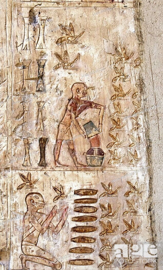 Luxor, l'Egitto, la tomba di Pabasa (TT279) a el-Asasif, necropoli di nobili tombe, raccolta del miele