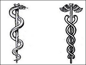 Il simbolo del serpente dal ciclo all'eternita'